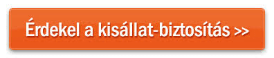 Érdekel a kisállat-biztosítás