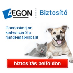 Aegon Biztosítás