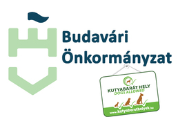 Budapest I. kerület Budavári Önkormányzat - Pályázat