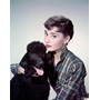 Audrey Hepburn
