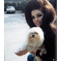 Priscilla Presley