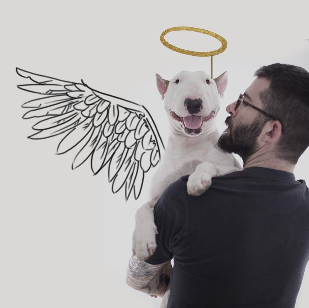 Rafael Mantesso és kutyája Jimmy Choo, a bullterrier