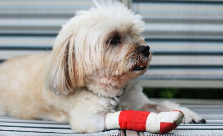 A tudatlanság következménye egy hetekig viselendő kötés lehet