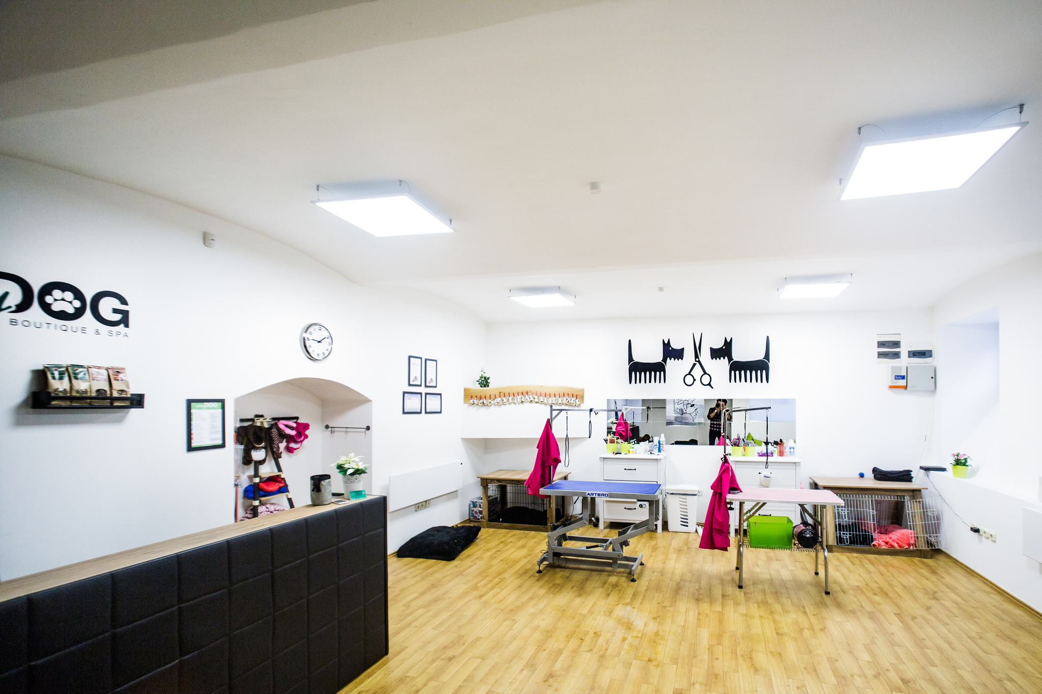 Modern környezet vár az ohmyDOG szalonban