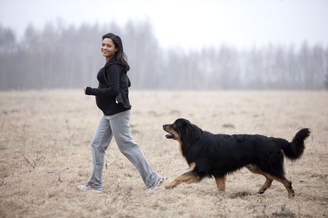 A kutya sétáltatása jótékonyan hat a kismama egészségére 