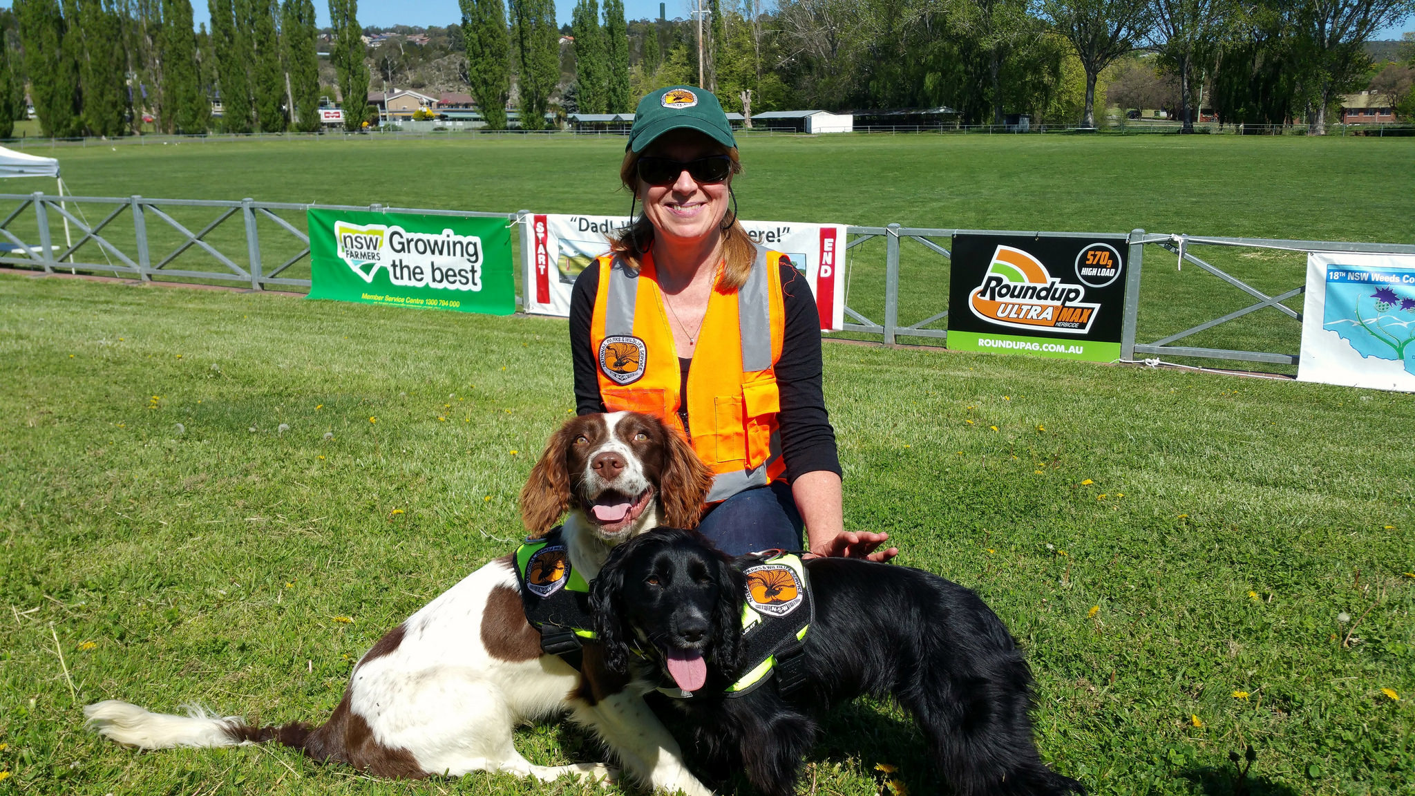 Hillary Cherry és a kiváló szaglású kutyák