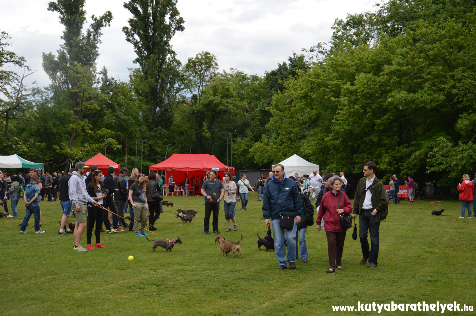 A zápor után szinte minden tacsis visszatért
