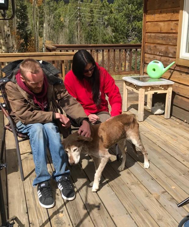 A labrador keverék családja körében