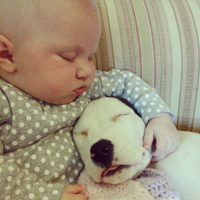 Eisleigh és Clyde együtt is aludtak