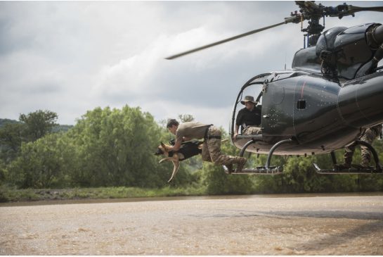  Venom és felvezetője Marius van Heerden  egy szimulációs gyakorlaton: a kutyának elég bátornak kell lennie ahhoz, hogy kiugorjon akár egy helikopterből is