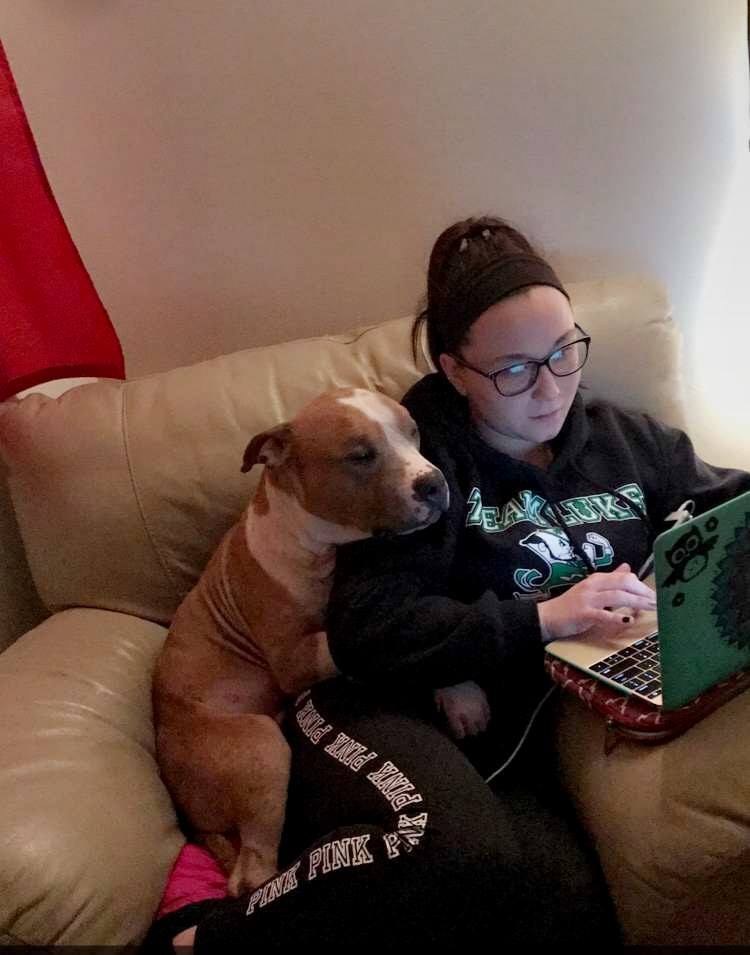 Még a szűk fotelben is odabújt gazdája mellé a pitbull - addig helyezkedett, míg meg tudta ölelni a gazdit