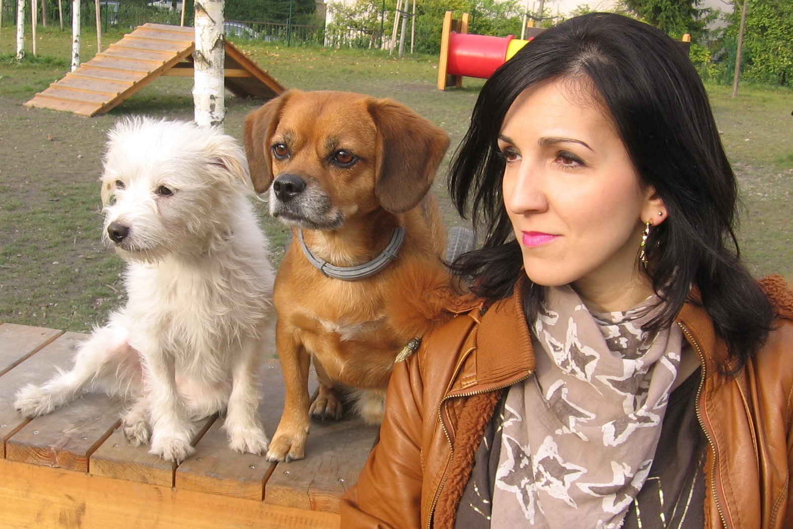 Panyi Zita és kutyusai: Álmos és Felhő