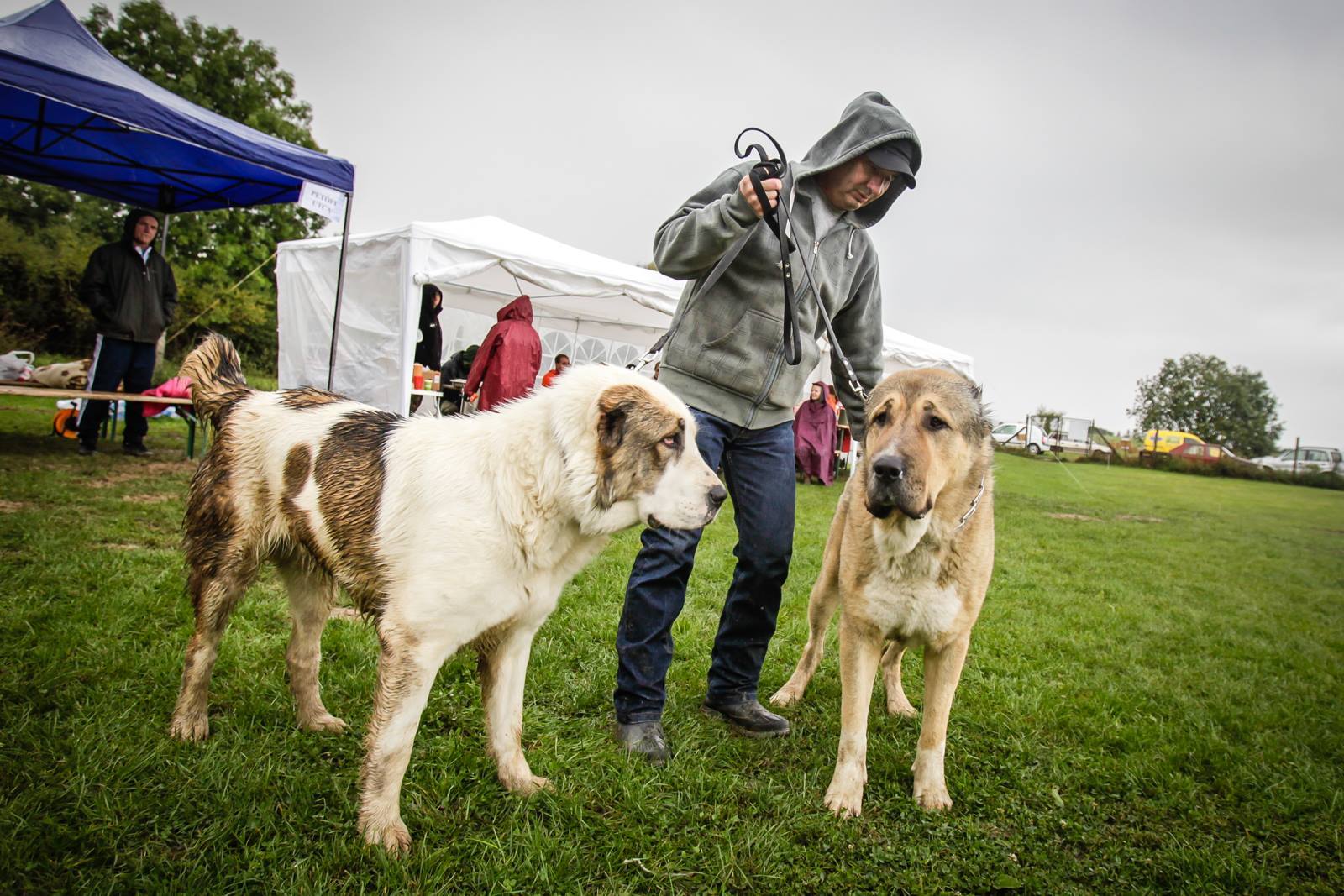 Egy kis sár? Egy kis víz? Ugyanmár... nem vagyunk cukorból!