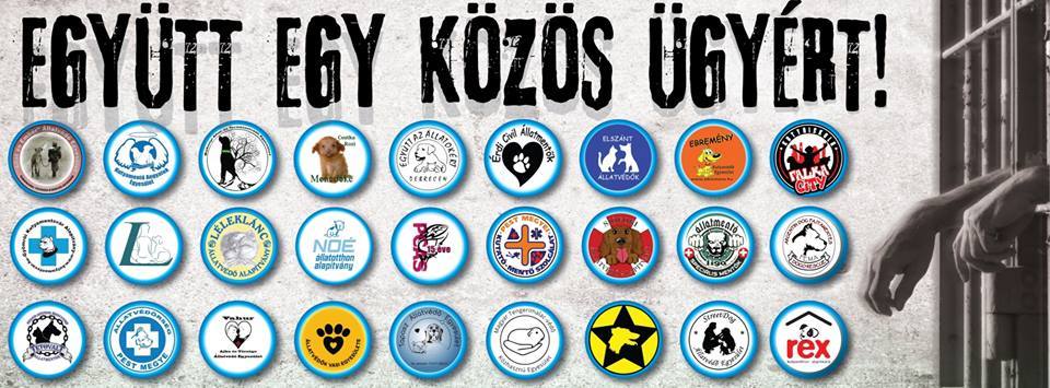 Eljött az összefogás ideje! Tegyünk együtt az állatkínzás ellen!