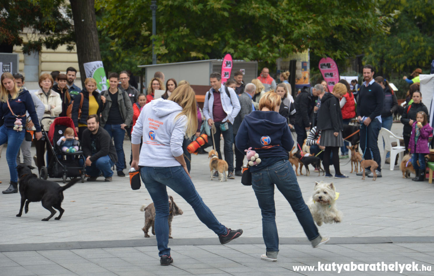A Tükör módszer bemutatója