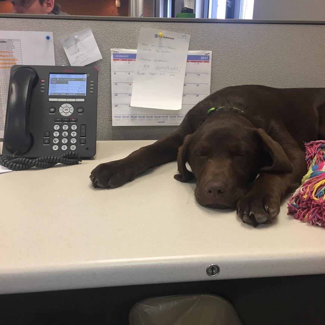 Aludni bárhol lehet...