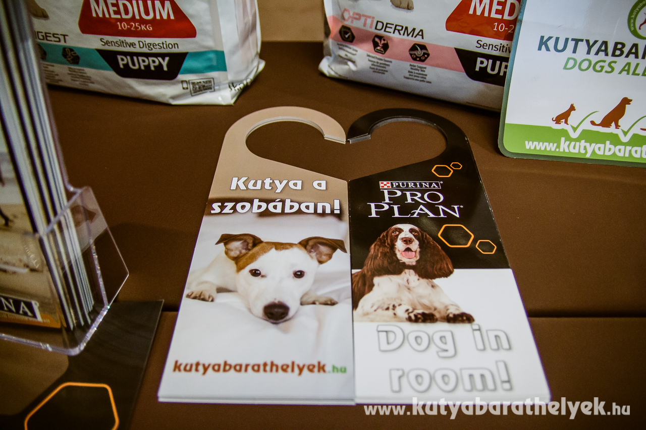 Kutya a szobában ajtóakasztó