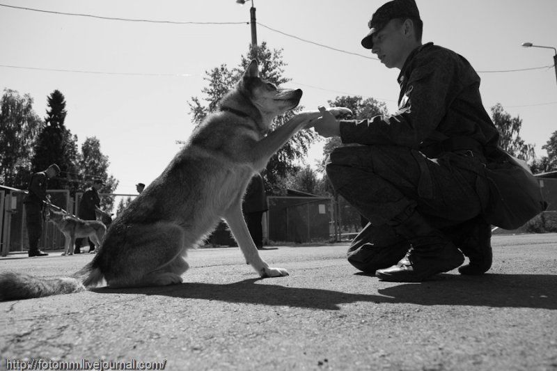 Az orosz hadsereg tulajdonában van minden volkoszobi