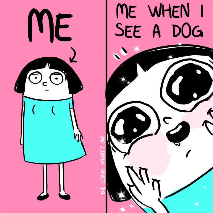 10 dolog, ami minden gazdinak ismerős lesz 09