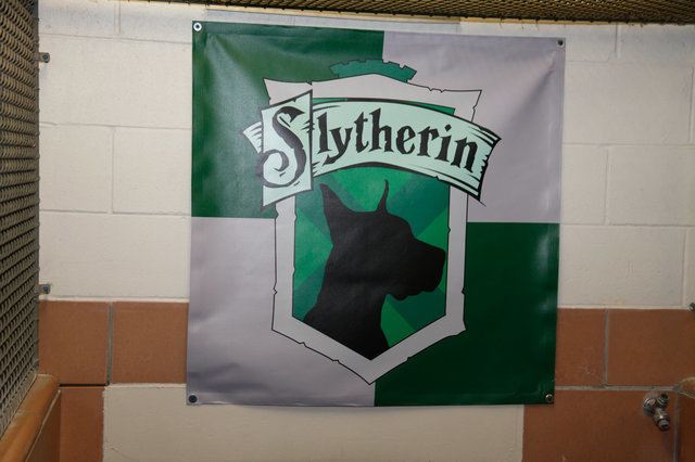 A Mardekár zászlóján is kutya szerepel a kígyó helyett