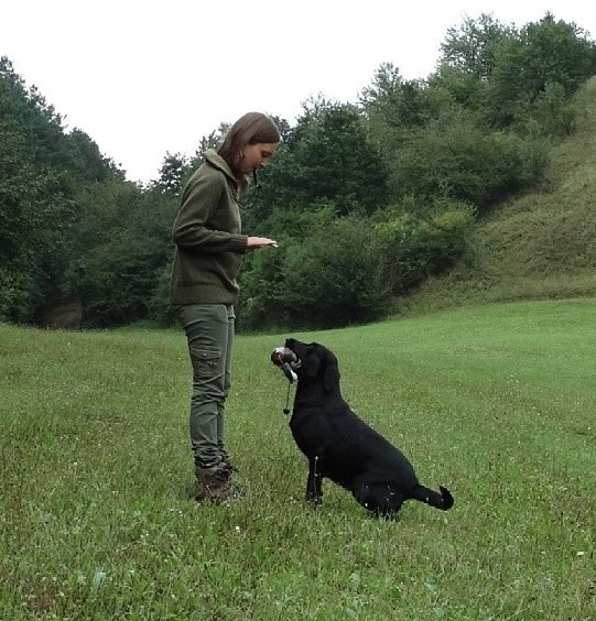 Joó Katalin és Merész