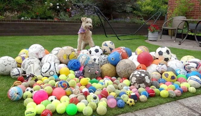 Ugye így gondoltad? 