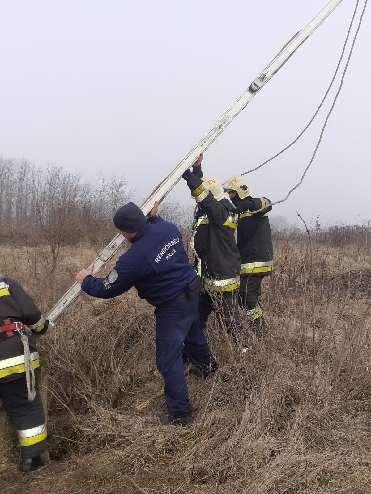A kutyáért létrán másztak le a tűzoltók a kútba