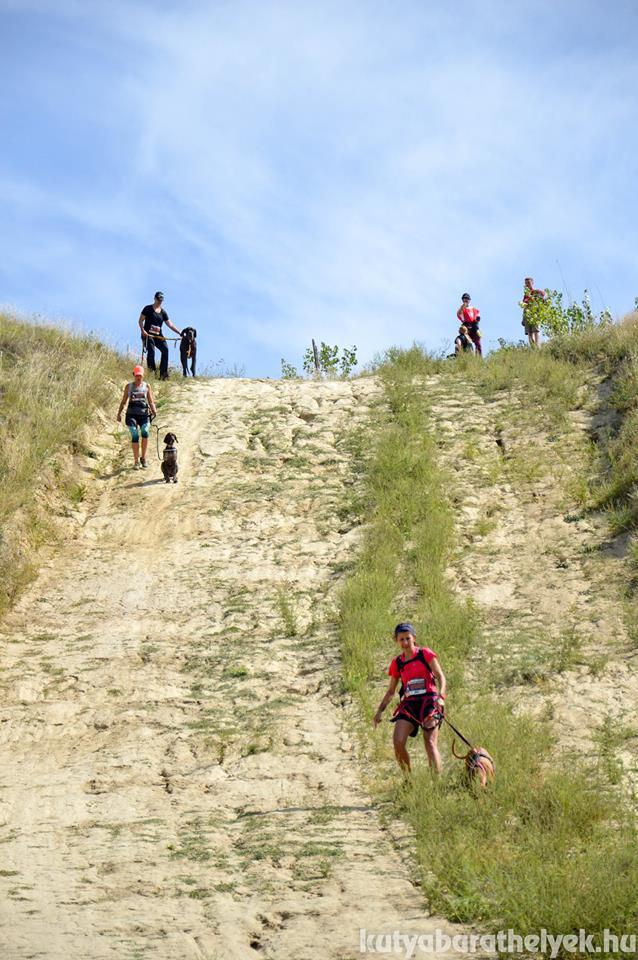 A meredek emelkedők - lejtők is igazi kihívást jelentenek a Hard Dog Race Wild -on