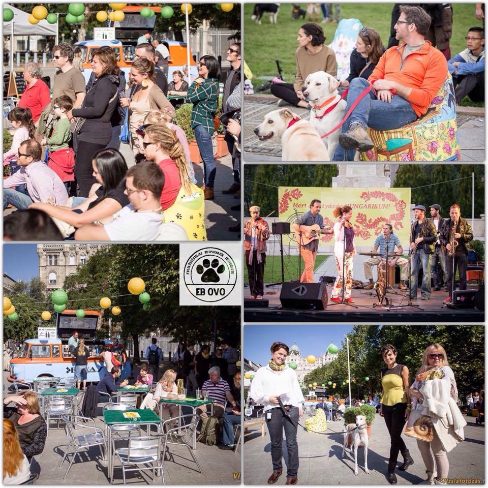 Ilyen szuper volt a tavalyi EB OVO Piknik!