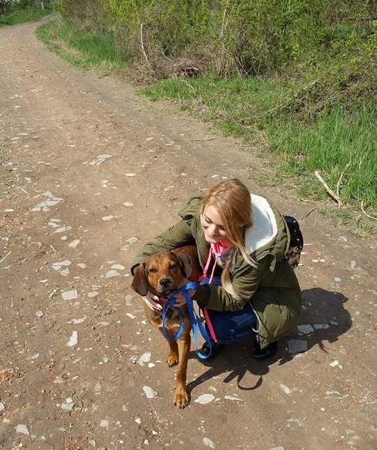 Dalton is nagyon örült a sétának, szeretgetésnek