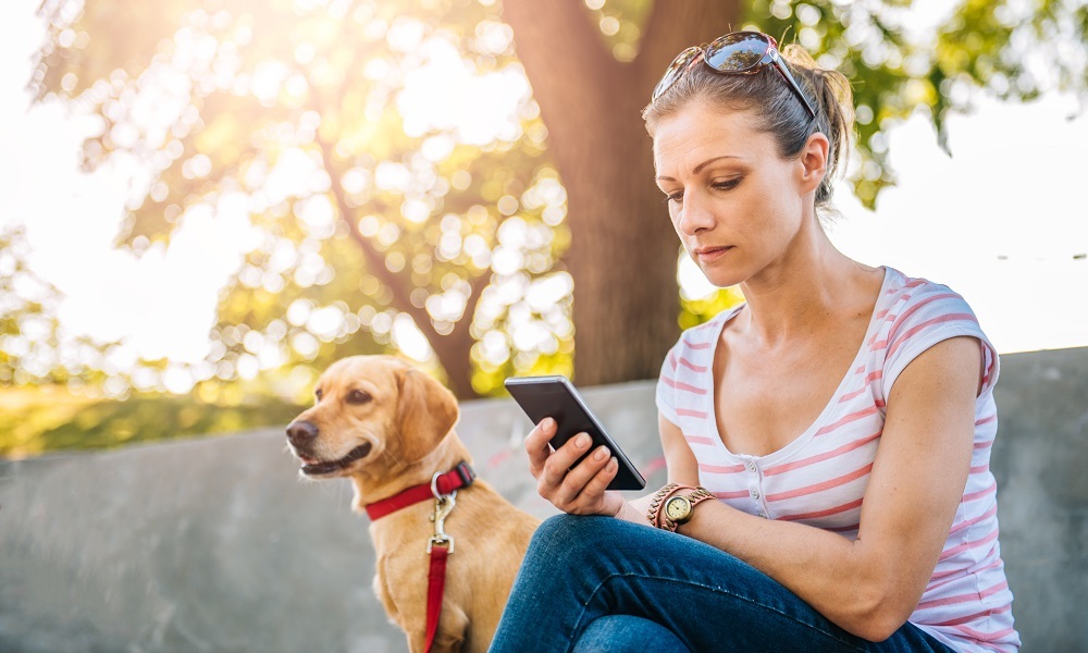 A szakértők is azt tanácsolják, telefonnyomkodás helyett foglalkozzunk inkább kedvencünkkel