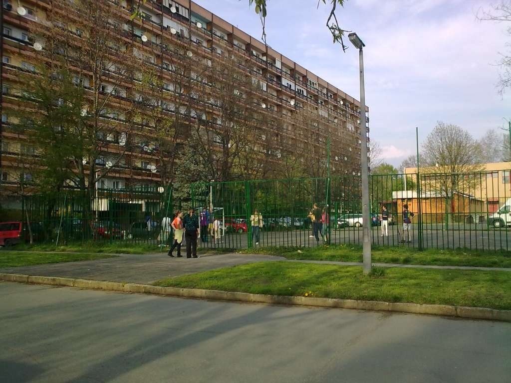 Kaposváron a Sávház környékén is gyakori a méreg elszórása