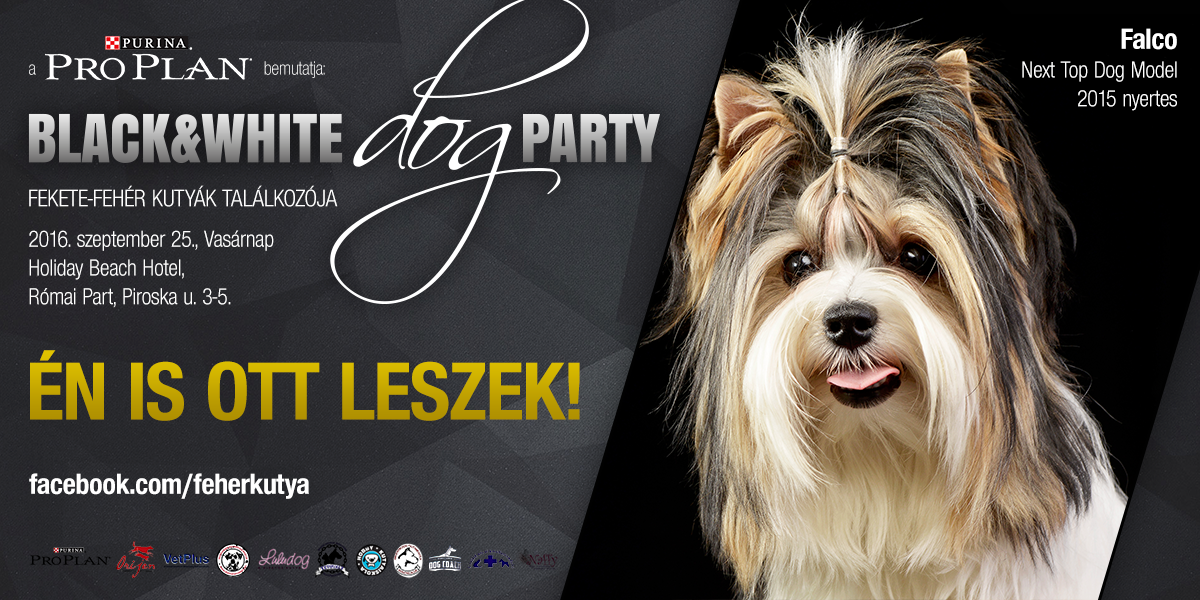 A Next Top Dog Modell nyertese is ott lesz!