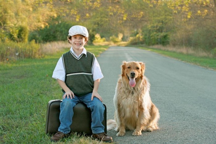 Ki költözzön? A gyerek vagy a kutya?