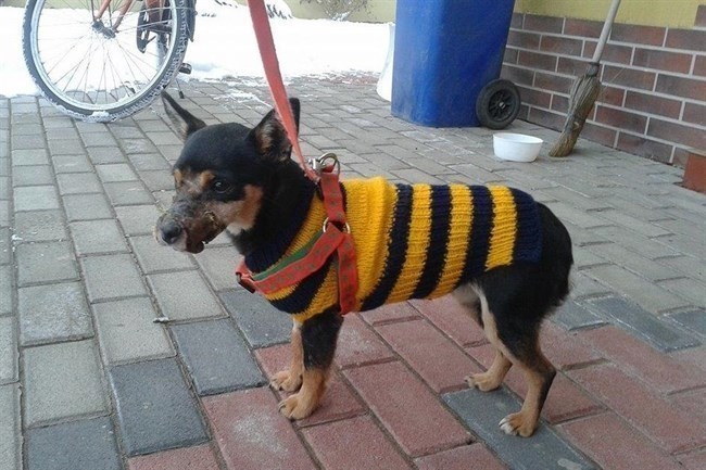 A kicsi Hope az ajándék pulcsijában