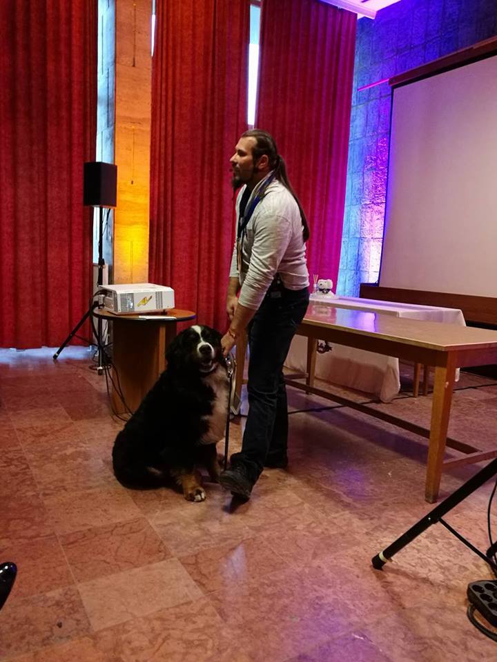 Schmidt Henry a terápiás kutyamasszázsról beszélt