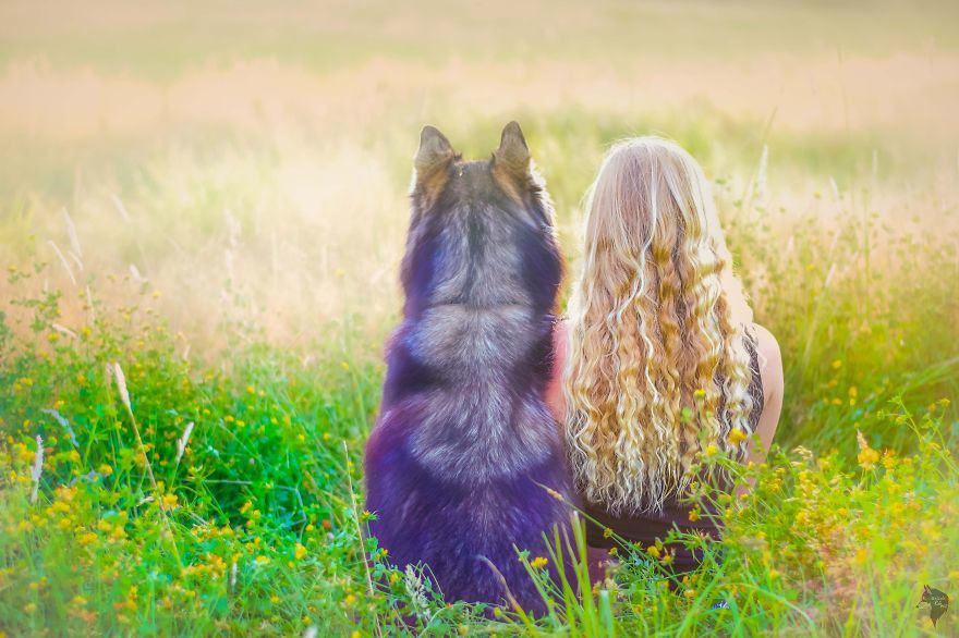 A husky lett a lány megmentője
