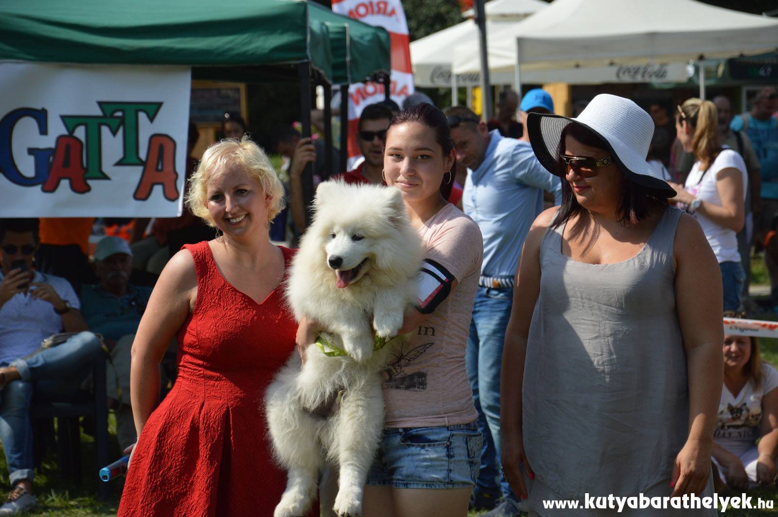 Az idei pikniken is lesz kutya-szépségverseny Az idei pikniken is lesz kutya-szépségverseny