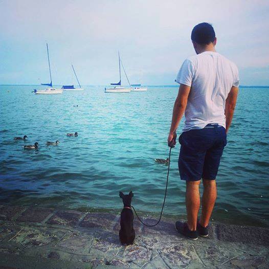 ...és a másikon is. A kutyák is szeretik a Balatont!