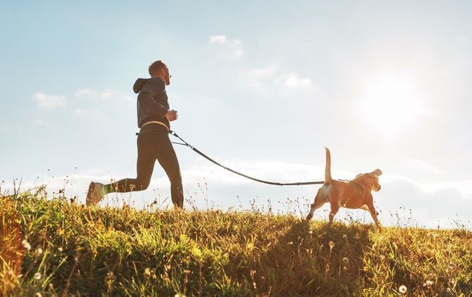 Kutyás futás - 12 fajta rövid távhoz
