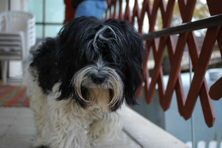 Nem látszik rajta semmi különös