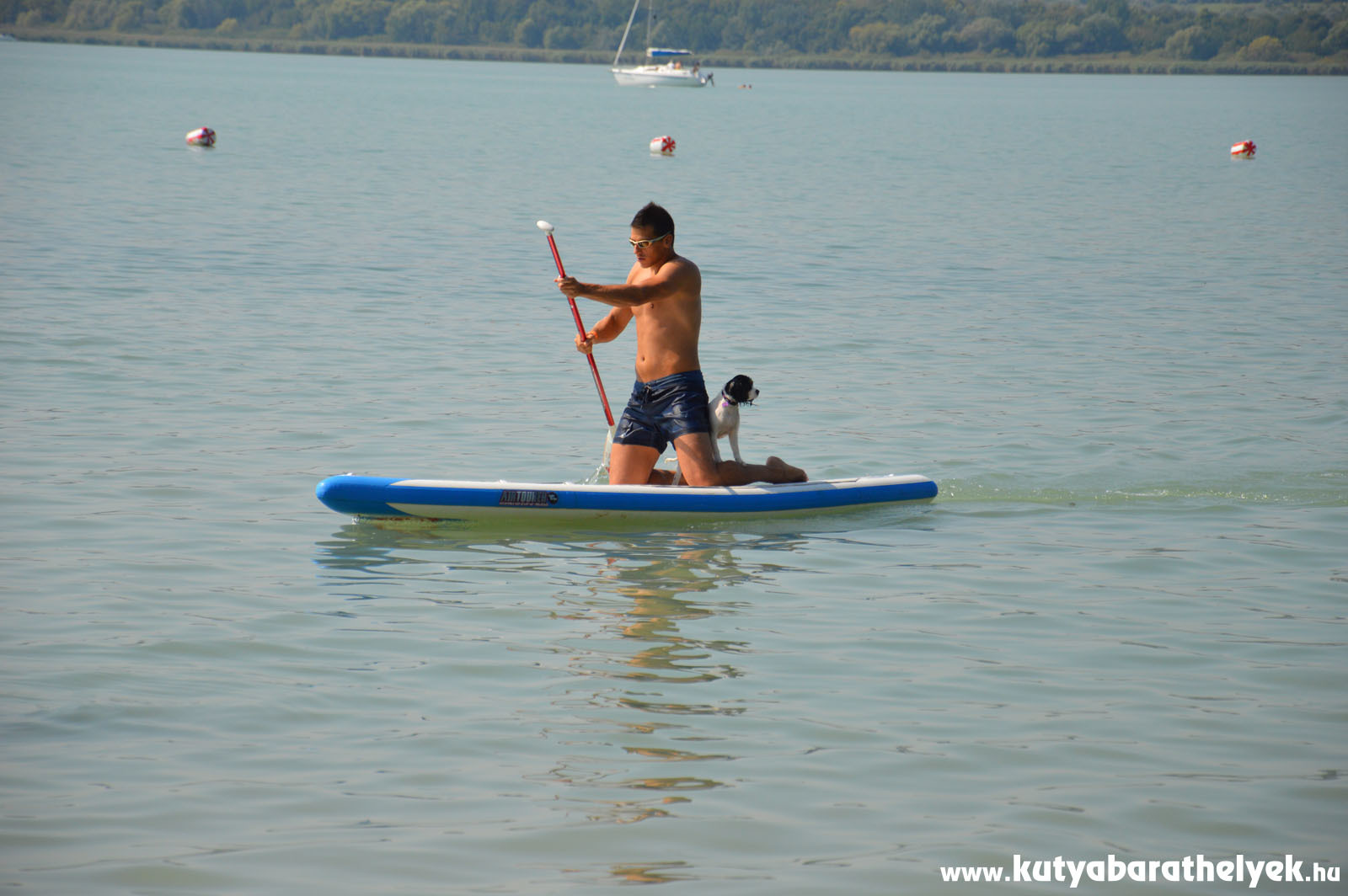 SUPdog - evezés deszkán a kutyával 