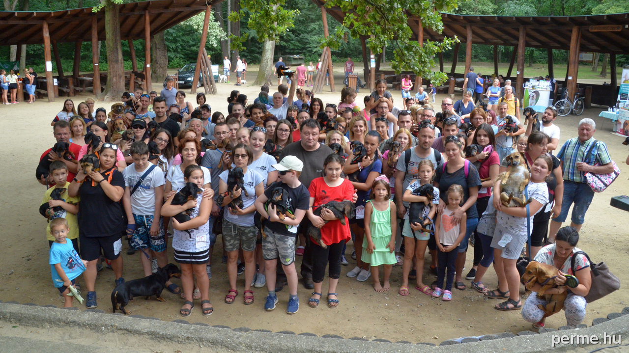 Több mint száz tacskó érkezett gazdijaival a találkozóra