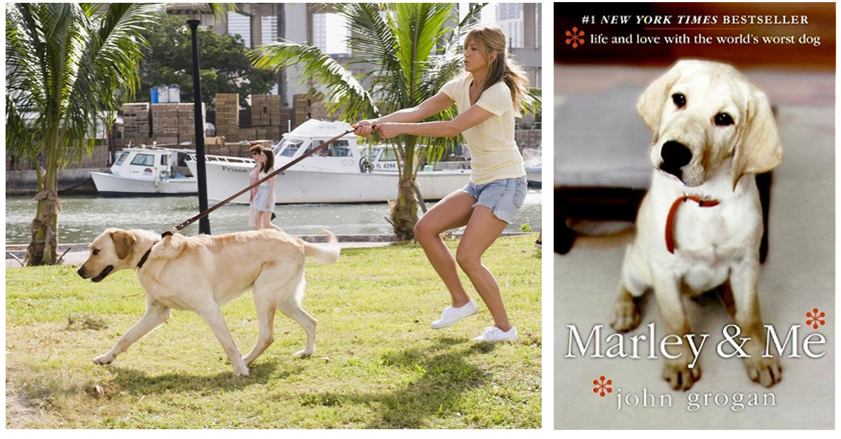 Minden kutyás látta már a Marley meg én című filmet - na de a könyvet is olvastátok?