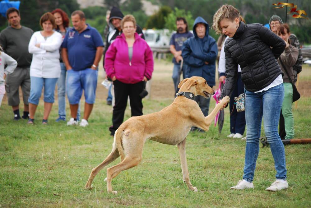 Szeifer Dia és Hunor bemutatója