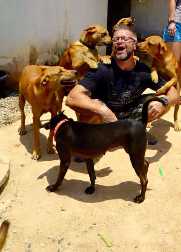 Michael Baines hálás kóbor kutyák körében