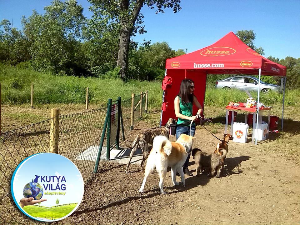 A kutyákat kis finomság is várta az átadón