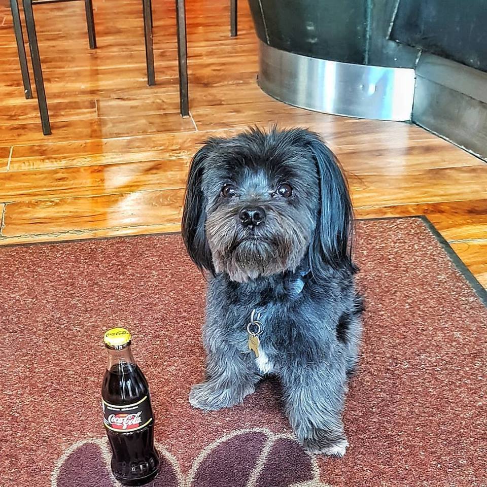 Frappé köszönti a vendégeket a Farger Kávézóban