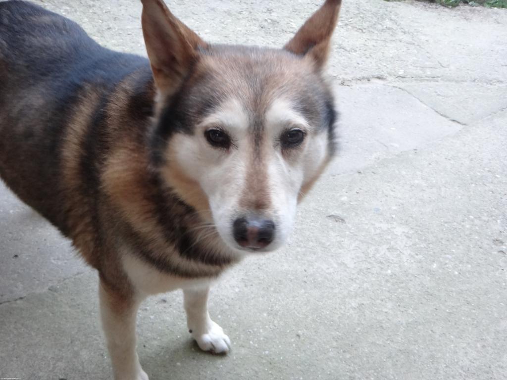 Piros K. Béláné - 414 lájk