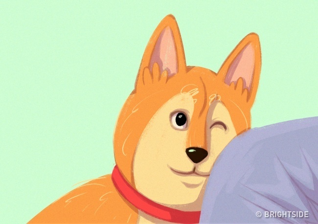 A kutya gazdája térdére helyezi a fejét